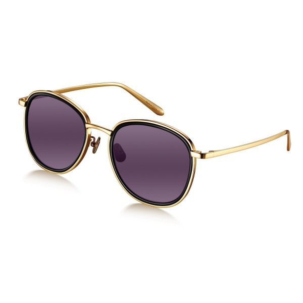 Shades Titanium Aviator Sunglasses Wenlenie