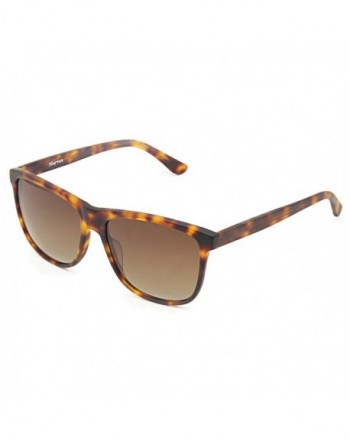 Wayfarer Sunglasses