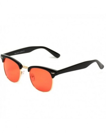 Wayfarer Sunglasses