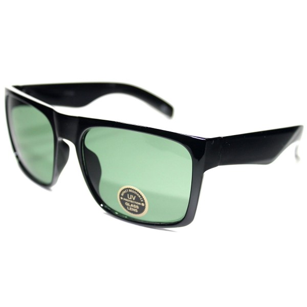 PZ1 HC1 Vintage Wayfarer Sunglasses Protective