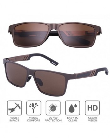 Wayfarer Sunglasses