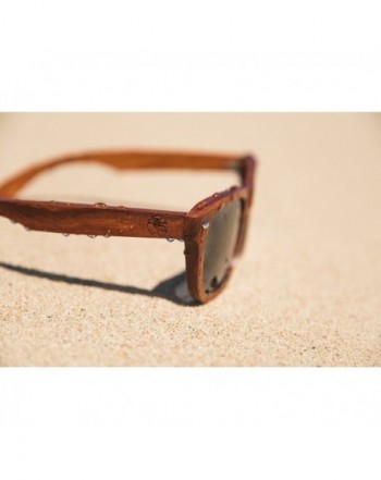 Wayfarer Sunglasses